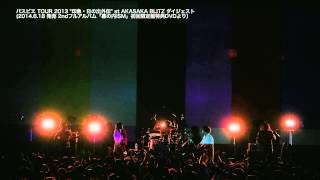 パスピエ TOUR 2013