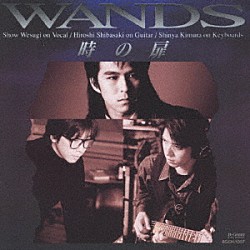 ＷＡＮＤＳ「時の扉」