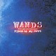 ＷＡＮＤＳ「ＰＩＥＣＥ　ＯＦ　ＭＹ　ＳＯＵＬ」