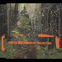 東京スカパラダイスオーケストラ 「美しく燃える森」
