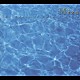 （オムニバス） パスカル・ロジェ リチャード・ボニング スイス・ロマンド管弦楽団 ネヴィル・マリナー アカデミー室内管弦楽団 アンドラーシュ・シフ アラン・フェインバーグ「水の音楽　Ｍｉｚｕ～清らかな心、純粋さを思い出したいとき。透明な響きを浴びる－。」
