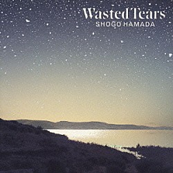 浜田省吾「ＷＡＳＴＥＤ　ＴＥＡＲＳ」