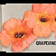 ＧＲＡＰＥＶＩＮＥ「会いにいく」