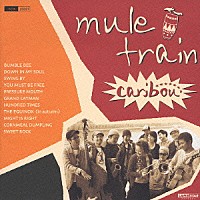 ｍｕｌｅ　ｔｒａｉｎ「 カリブゥー」