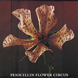 ＰＥＮＩＣＩＬＬＩＮ「ＦＬＯＷＥＲ　ＣＩＲＣＵＳ」