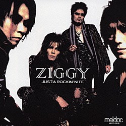 ＺＩＧＧＹ「ＪＵＳＴ　Ａ　ＲＯＣＫＩＮ’ＮＩＴＥ」