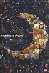 ＨＵＳＫＩＮＧ　ＢＥＥ「０５０３０６」