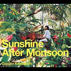 川口大輔「Ｓｕｎｓｈｉｎｅ　Ａｆｔｅｒ　Ｍｏｎｓｏｏｎ」