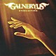 Ｇａｌｎｅｒｙｕｓ「ＥＶＥＲＬＡＳＴＩＮＧ」