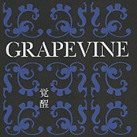 ＧＲＡＰＥＶＩＮＥ「 覚醒　１０ｔｈ　Ａｎｎｉｖｅｒｓａｒｙ　Ｓｐｅｃｉａｌ　Ｐａｃｋａｇｅ」