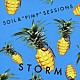 ＳＯＩＬ＆“ＰＩＭＰ”ＳＥＳＳＩＯＮＳ 社長 タブゾンビ 元晴 丈青 秋田ゴールドマン みどりん「ＳＴＯＲＭ」