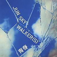 ＪＵＮ　ＳＫＹ　ＷＡＬＫＥＲ（Ｓ）「 青春」