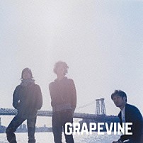 ＧＲＡＰＥＶＩＮＥ 「疾走」