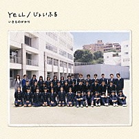 いきものがかり 「ＹＥＬＬ／じょいふる」