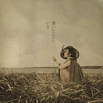 ＭＩＳＩＡ 「逢いたくていま」