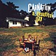 カーネーション「ａ　Ｂｅａｕｔｉｆｕｌ　Ｄａｙ　（Ｄｅｌｕｘｅ　Ｅｄｉｔｉｏｎ）」