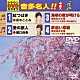 （カラオケ） 真木ことみ 瀬口侑希 松永ひと美 花咲ゆき美「クラウンＤＶＤカラオケ　音多名人！！」