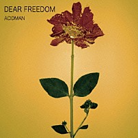 ＡＣＩＤＭＡＮ 「ＤＥＡＲ　ＦＲＥＥＤＯＭ」