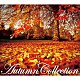 （Ｖ．Ａ．） Ｃｒａｄｌｅ　Ｏｒｃｈｅｓｔｒａ Ａｎａｎ　Ｒｙｏｋｏ Ｃｒａｄｌｅ Ｂｅｅ ｍ－ｔａｋｕ Ｒａｕｊｉｋａ ＰＥ’Ｚ「Ａｕｔｕｍｎ　Ｃｏｌｌｅｃｔｉｏｎ」