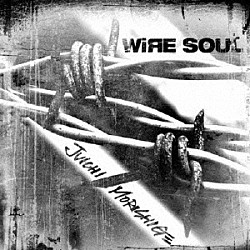 ＪＵＩＣＨＩ　ＭＯＲＩＳＨＩＧＥ「ＷＩＲＥ　ＳＯＵＬ」