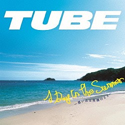 ＴＵＢＥ「Ａ　Ｄａｙ　Ｉｎ　Ｔｈｅ　Ｓｕｍｍｅｒ　～想い出は笑顔のまま～」