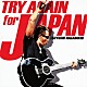 長渕剛 「ＴＲＹ　ＡＧＡＩＮ　ｆｏｒ　ＪＡＰＡＮ／お家へかえろう　２０１１」