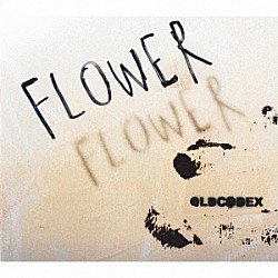 ＯＬＤＣＯＤＥＸ「ＦＬＯＷＥＲ」