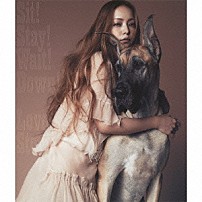 Ｎａｍｉｅ　Ａｍｕｒｏ 「Ｓｉｔ！　Ｓｔａｙ！　Ｗａｉｔ！　Ｄｏｗｎ！／Ｌｏｖｅ　Ｓｔｏｒｙ」