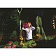 清春 「ＵＮＤＥＲ　ＴＨＥ　ＳＵＮ」