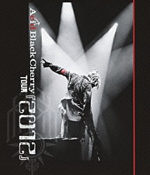 Ａｃｉｄ　Ｂｌａｃｋ　Ｃｈｅｒｒｙ「Ａｃｉｄ　Ｂｌａｃｋ　Ｃｈｅｒｒｙ　ＴＯＵＲ　『２０１２』」