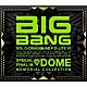 ＢＩＧＢＡＮＧ「ＳＰＥＣＩＡＬ　ＦＩＮＡＬ　ＩＮ　ＤＯＭＥ　ＭＥＭＯＲＩＡＬ　ＣＯＬＬＥＣＴＩＯＮ」