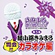 （カラオケ） 綾小路きみまろ「きみまろ　歌の贈りもの！～綾小路きみまろのヒット歌謡・名曲集　司会付カラオケ編　第５集」