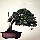 Ｍｏｎｋｅｙ　Ｍａｊｉｋ＋小田和正 「Ａ　Ｃｈｒｉｓｔｍａｓ　Ｓｏｎｇ」