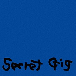 甲斐バンド「Ｓｅｃｒｅｔ　Ｇｉｇ」