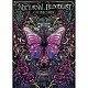 ＮＯＣＴＵＲＮＡＬ　ＢＬＯＯＤＬＵＳＴ「ＧＲＩＭＯＩＲＥ」