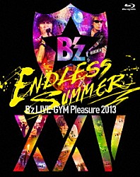 Ｂ’ｚ「Ｂ’ｚ　ＬＩＶＥ－ＧＹＭ　Ｐｌｅａｓｕｒｅ　２０１３　ＥＮＤＬＥＳＳ　ＳＵＭＭＥＲ　－ⅩⅩⅤ　ＢＥＳＴ－」