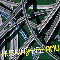 ＨＵＳＫＩＮＧ　ＢＥＥ 「ＡＭＵ」