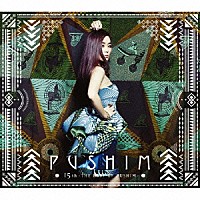 ＰＵＳＨＩＭ「 １５ｔｈ　－ＴＨＥ　ＢＥＳＴ　ＯＦ　ＰＵＳＨＩＭ－」