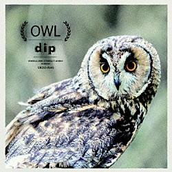 ｄｉｐ「ＯＷＬ」