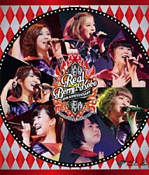 Ｂｅｒｒｙｚ工房「Ｂｅｒｒｙｚ工房デビュー１０周年記念コンサートツアー２０１４春～リアルＢｅｒｒｙｚ工房～」