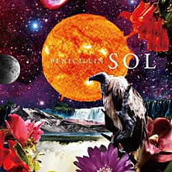 ＰＥＮＩＣＩＬＬＩＮ「ＳＯＬ」