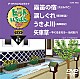 （カラオケ） 大月みやこ 原田悠里 長保有紀 伍代夏子「ヒットいちばん　Ｗ」