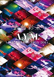 武藤彩未「Ａ．Ｙ．Ｍ．　Ｌｉｖｅ　Ｃｏｌｌｅｃｔｉｏｎ　２０１４　～進化～」