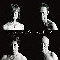 安達久美　ｃｌｕｂ　ＰＡＮＧＡＥＡ「 ＰＡＮＧＡＥＡ」