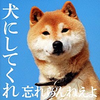 忘れらんねえよ 「犬にしてくれ」