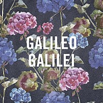 Ｇａｌｉｌｅｏ　Ｇａｌｉｌｅｉ 「嵐のあとで」