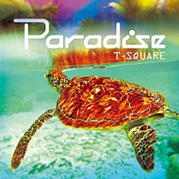 Ｔ－ＳＱＵＡＲＥ Ｍａｓａｈｉｒｏ　Ａｎｄｏ Ｔａｋｅｓｈｉ　Ｉｔｏ Ｋｅｉｚｏ　Ｋａｗａｎｏ Ｓａｔｏｓｈｉ　Ｂａｎｄｏｈ Ｓｈｉｎｇｏ　Ｔａｎａｋａ 「Ｐａｒａｄｉｓｅ」