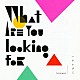 ハナレグミ「Ｗｈａｔ　ａｒｅ　ｙｏｕ　ｌｏｏｋｉｎｇ　ｆｏｒ」