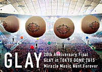 ＧＬＡＹ「 ２０ｔｈ　Ａｎｎｉｖｅｒｓａｒｙ　Ｆｉｎａｌ　ＧＬＡＹ　ｉｎ　ＴＯＫＹＯ　ＤＯＭＥ　２０１５　Ｍｉｒａｃｌｅ　Ｍｕｓｉｃ　Ｈｕｎｔ　Ｆｏｒｅｖｅｒ－ＳＰＥＣＩＡＬ　ＢＯＸ－」