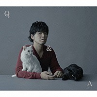 『Ｑ＆Ａ』